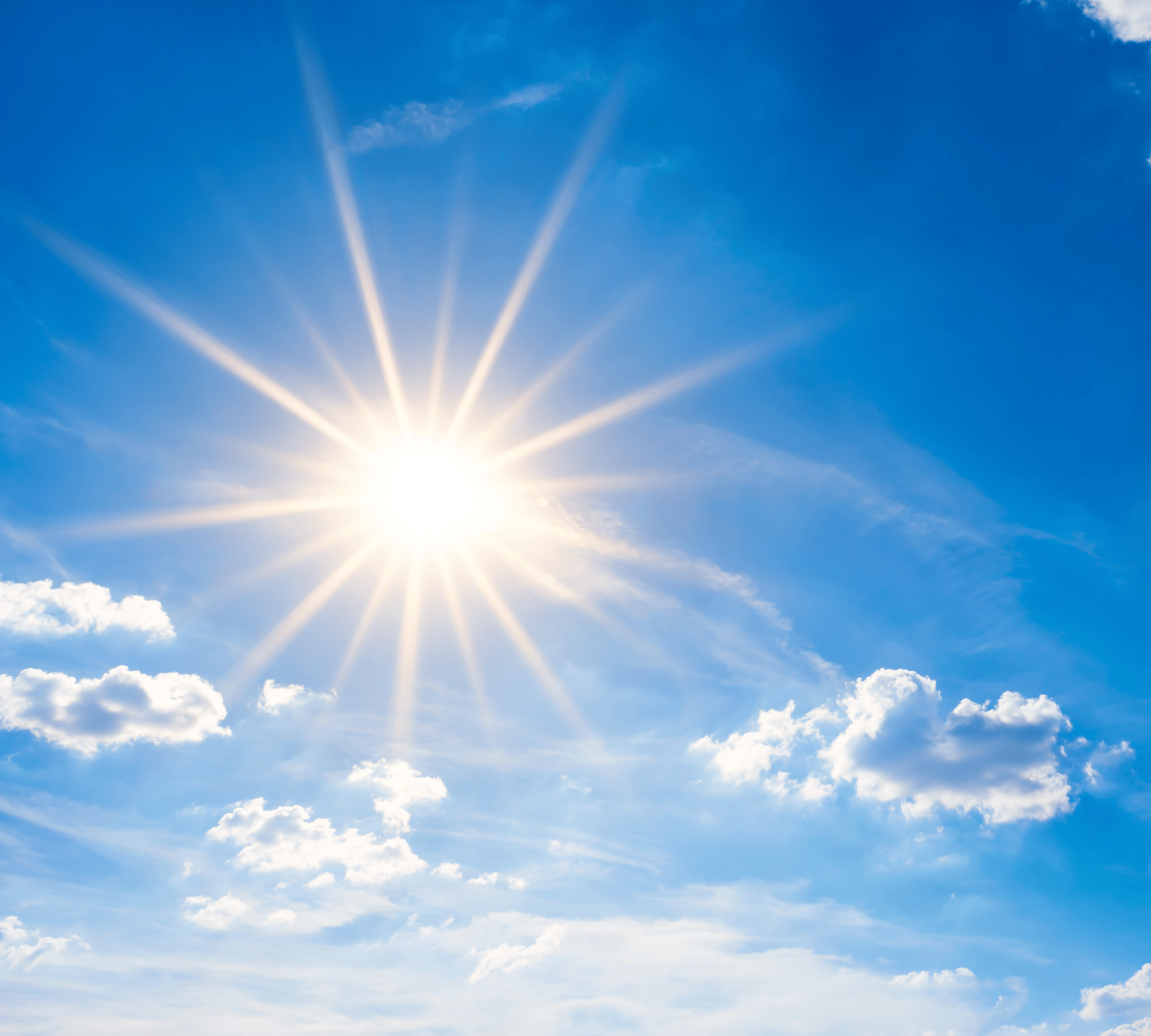 Vitamin D3 + K2 – wissenschaftliche Synergie für das Immunsystem, Knochengesundheit und Muskel- und Gelenkfunktionund Balance
