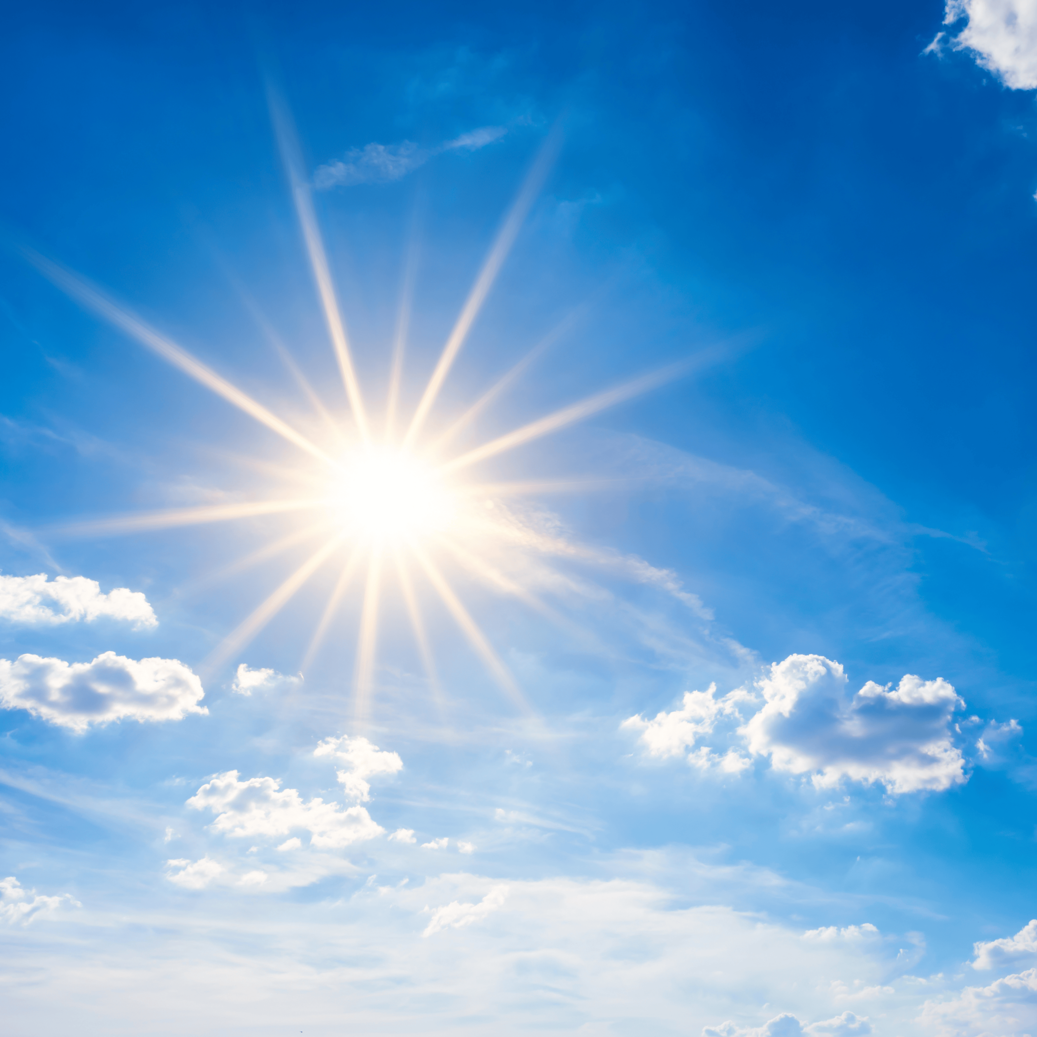 Vitamin D3 + K2 – wissenschaftliche Synergie für das Immunsystem, Knochengesundheit und Muskel- und Gelenkfunktionund Balance
